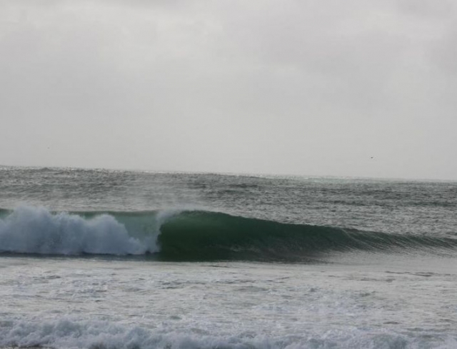  Lege Cap Ferret 冲浪学校 